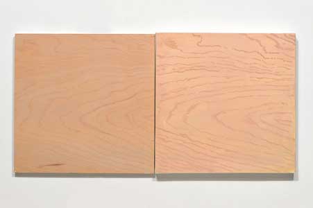 Ply, Oil on Canvas & wood panel, Two pieces 12"x14"x2", 2013